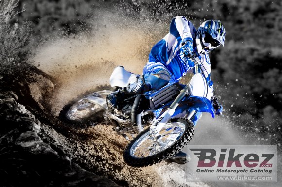 2009 Yamaha YZ250