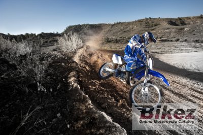 2009 Yamaha YZ250
