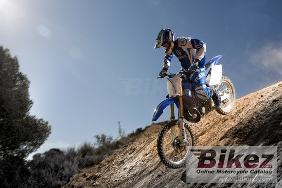 2009 Yamaha YZ250