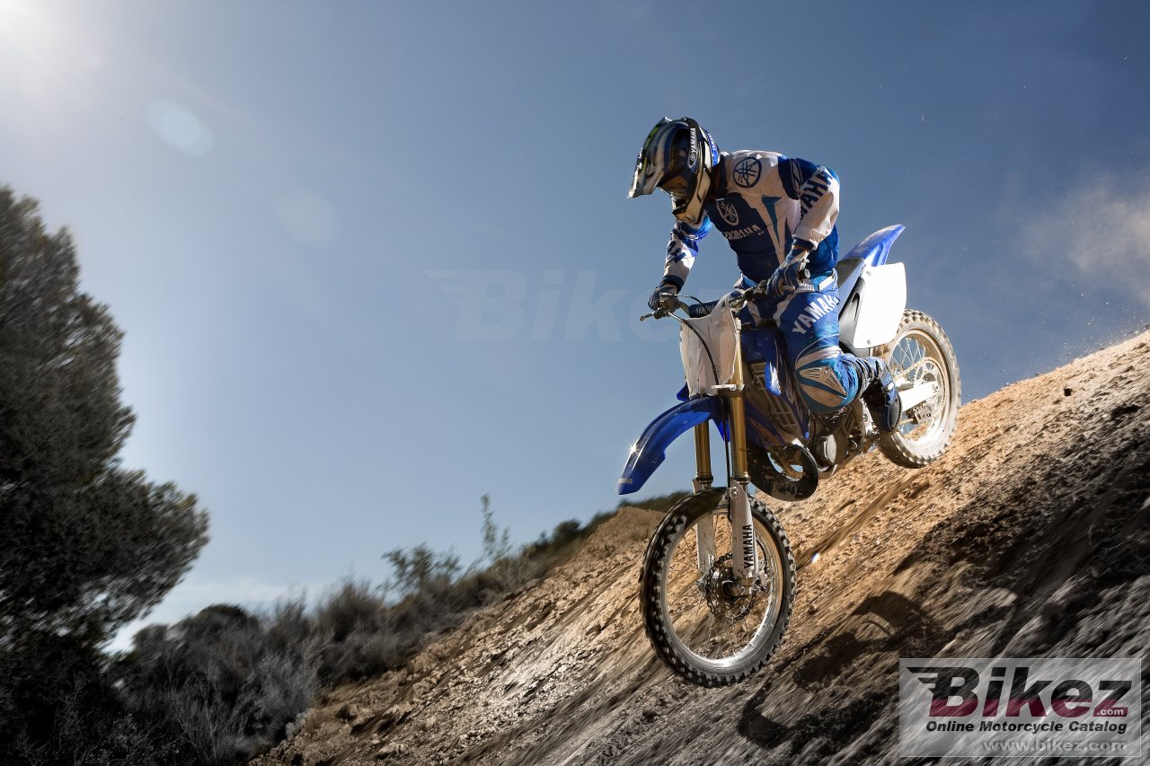 Yamaha YZ250