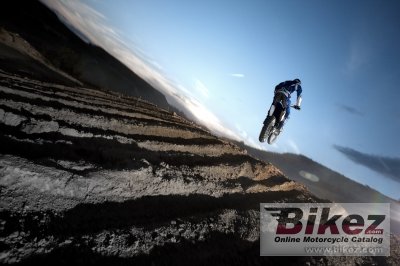 2009 Yamaha YZ250