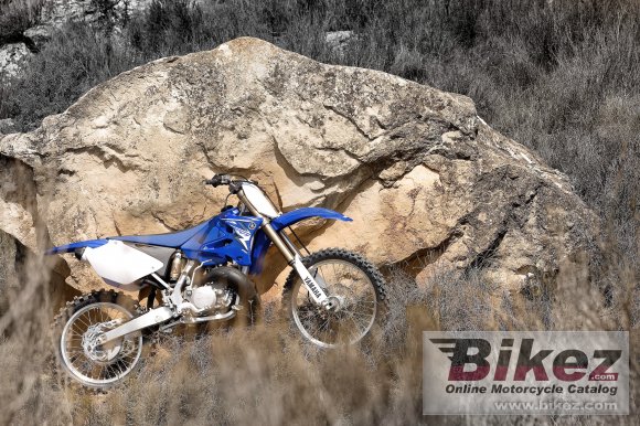 2009 Yamaha YZ250