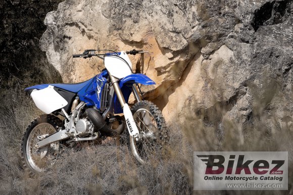 2009 Yamaha YZ250