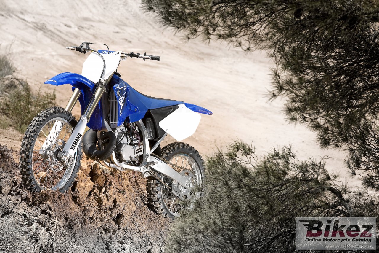 Yamaha YZ250