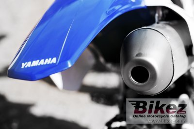 2009 Yamaha YZ250F