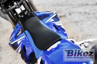 2009 Yamaha YZ250F