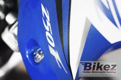 2009 Yamaha YZ250F