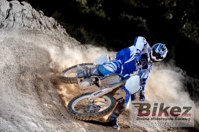 2009 Yamaha YZ250F