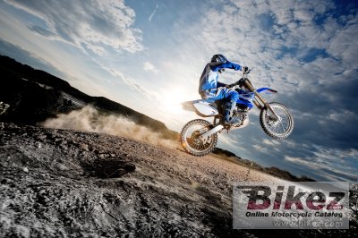 2009 Yamaha YZ250F
