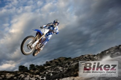 2009 Yamaha YZ250F