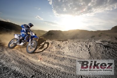 2009 Yamaha YZ250F