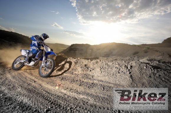 2009 Yamaha YZ250F