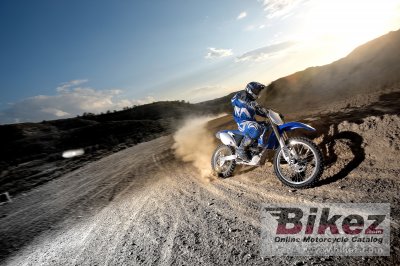 2009 Yamaha YZ250F
