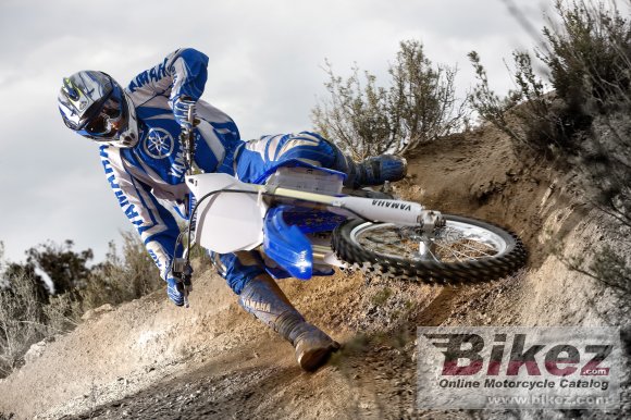 2009 Yamaha YZ250F