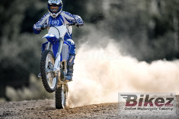 2009 Yamaha YZ250F