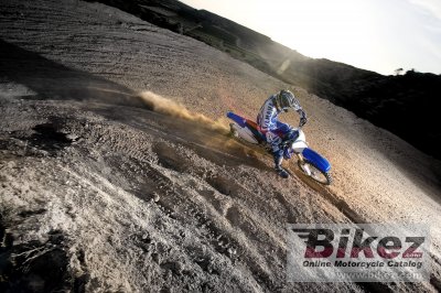 2009 Yamaha YZ250F