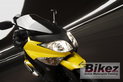 2009 Yamaha TMAX