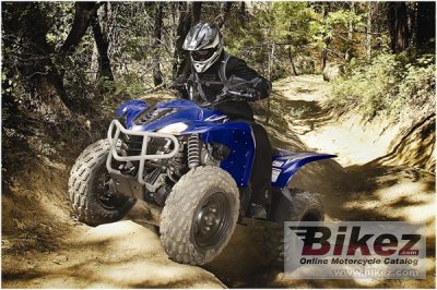 2009 Yamaha Wolverine 450 Auto 4x4