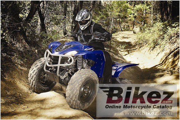 Yamaha Wolverine 450 Auto 4x4