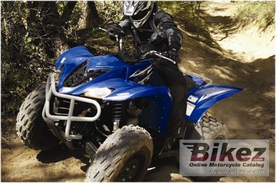 2009 Yamaha Wolverine 450 Auto 4x4