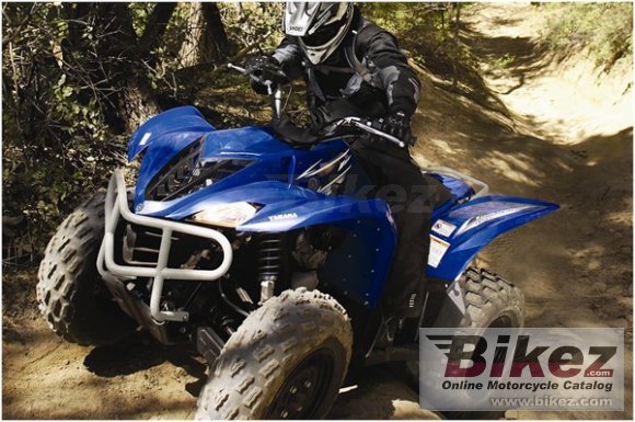 2009 Yamaha Wolverine 450 Auto 4x4