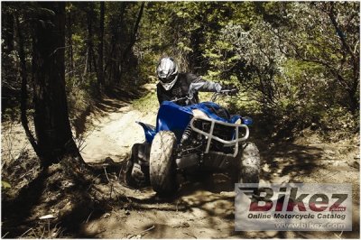 2009 Yamaha Wolverine 450 Auto 4x4