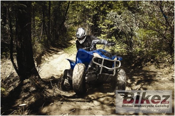 2009 Yamaha Wolverine 450 Auto 4x4