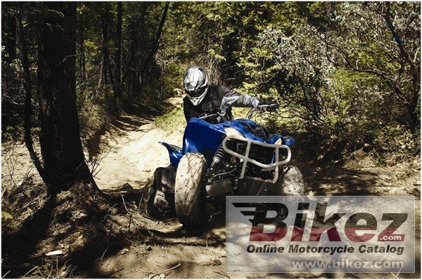 Yamaha Wolverine 450 Auto 4x4