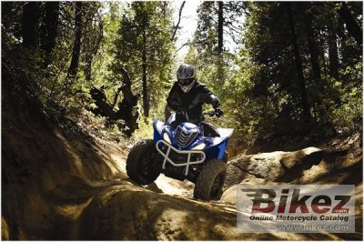 2009 Yamaha Wolverine 450 Auto 4x4