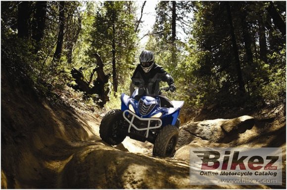 2009 Yamaha Wolverine 450 Auto 4x4