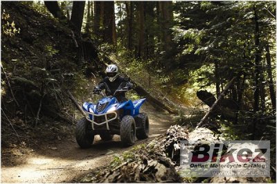 2009 Yamaha Wolverine 450 Auto 4x4