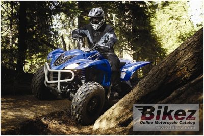 2009 Yamaha Wolverine 450 Auto 4x4