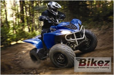 2009 Yamaha Wolverine 450 Auto 4x4