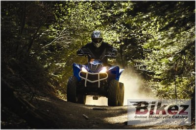 2009 Yamaha Wolverine 450 Auto 4x4
