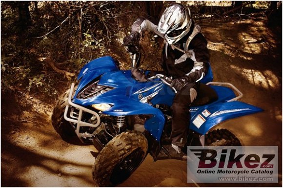 2009 Yamaha Wolverine 450 Auto 4x4