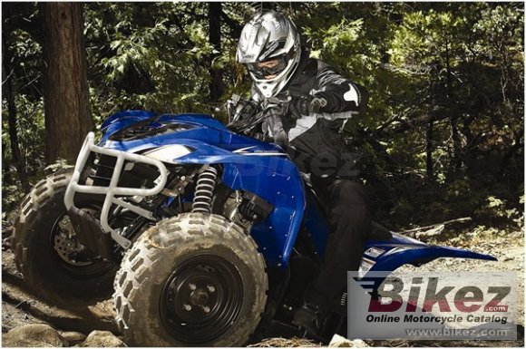 2009 Yamaha Wolverine 450 Auto 4x4