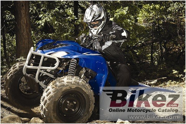 Yamaha Wolverine 450 Auto 4x4