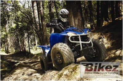 2009 Yamaha Wolverine 450 Auto 4x4
