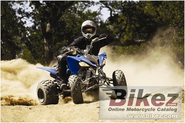 Yamaha Raptor 250