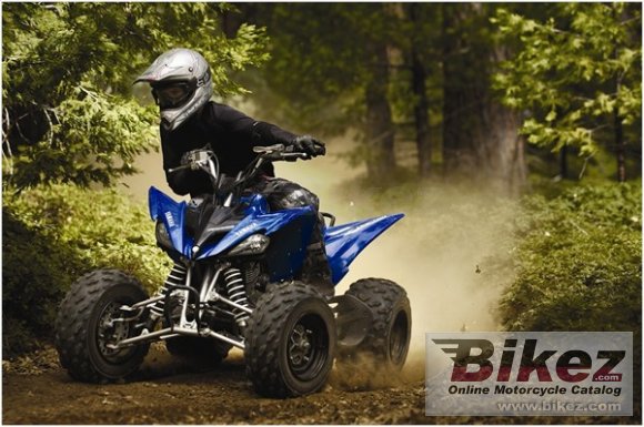 2009 Yamaha Raptor 250