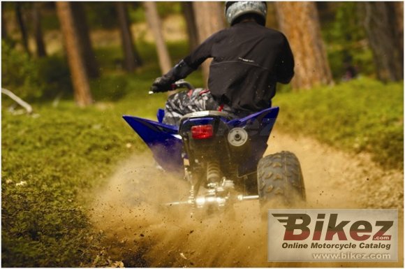 2009 Yamaha Raptor 250