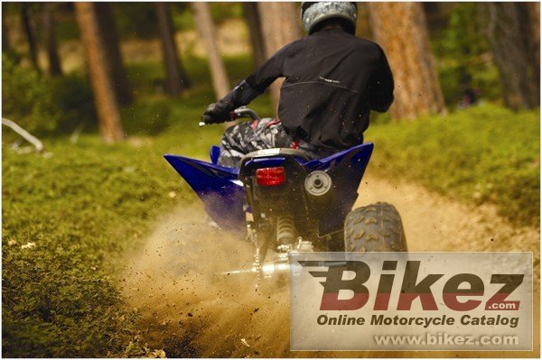 Yamaha Raptor 250