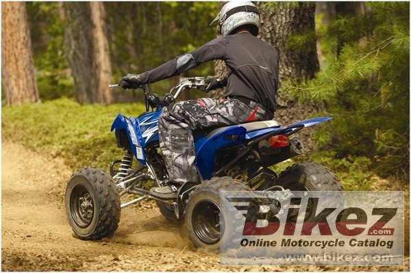 Yamaha Raptor 250