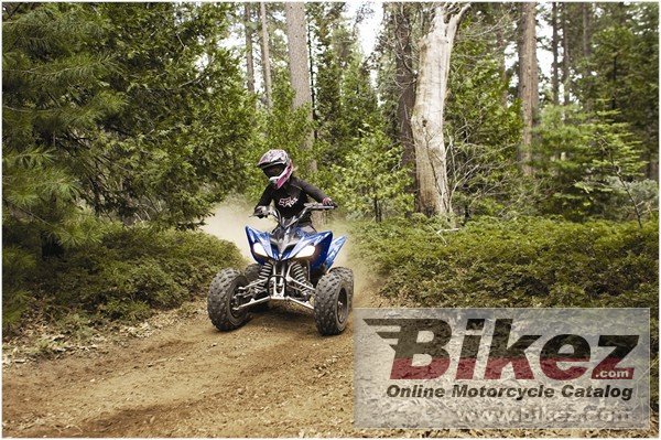 Yamaha Raptor 250