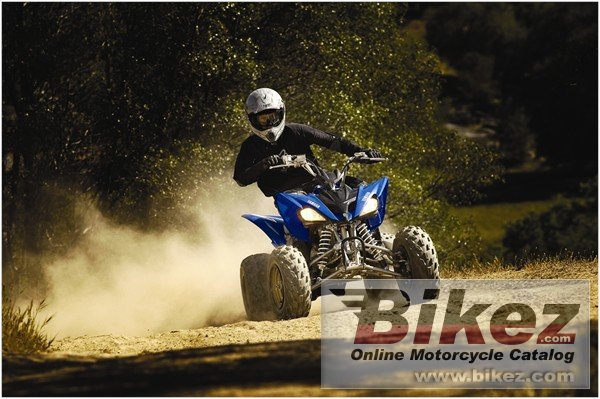 Yamaha Raptor 250