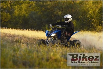 2009 Yamaha Raptor 250
