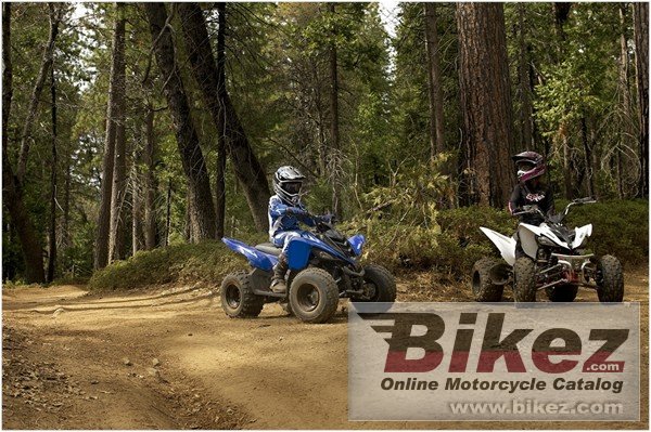 Yamaha Raptor 90