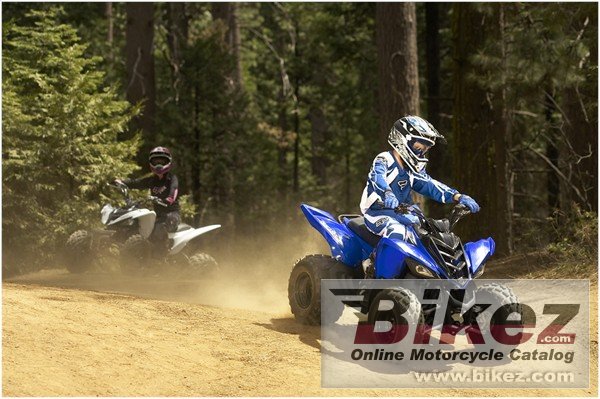 Yamaha Raptor 90