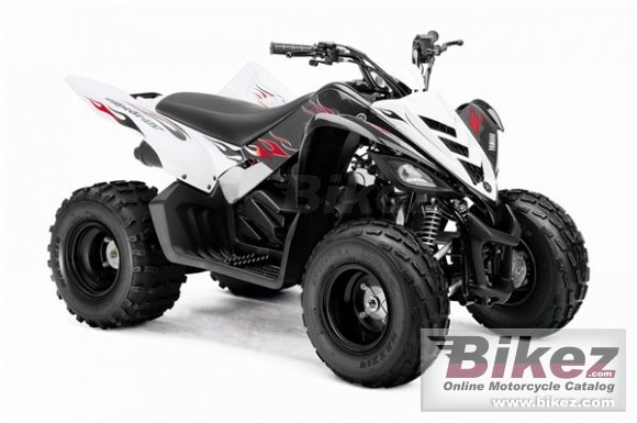 2009 Yamaha Raptor 90