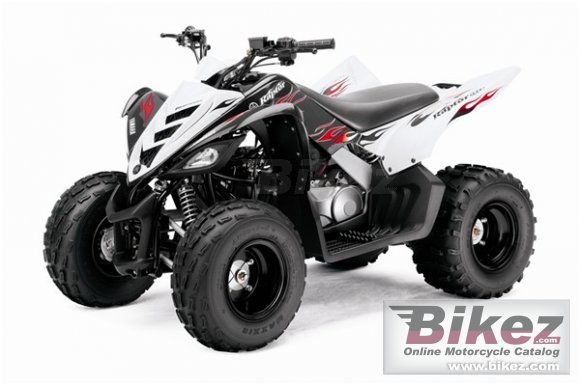 2009 Yamaha Raptor 90